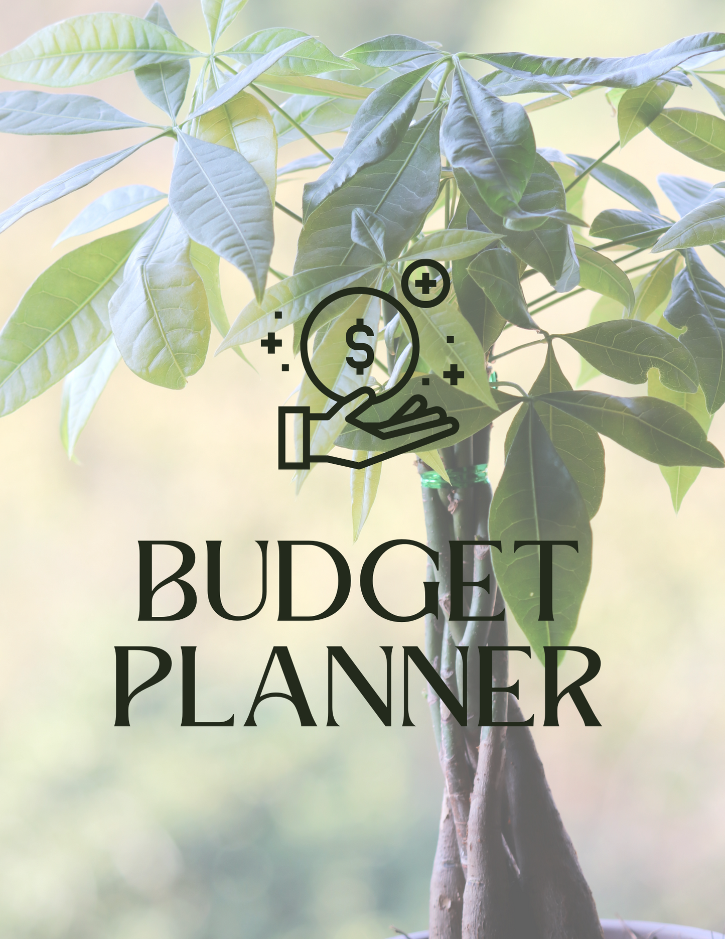 ADR Digital Budget Planner & Setup Guide