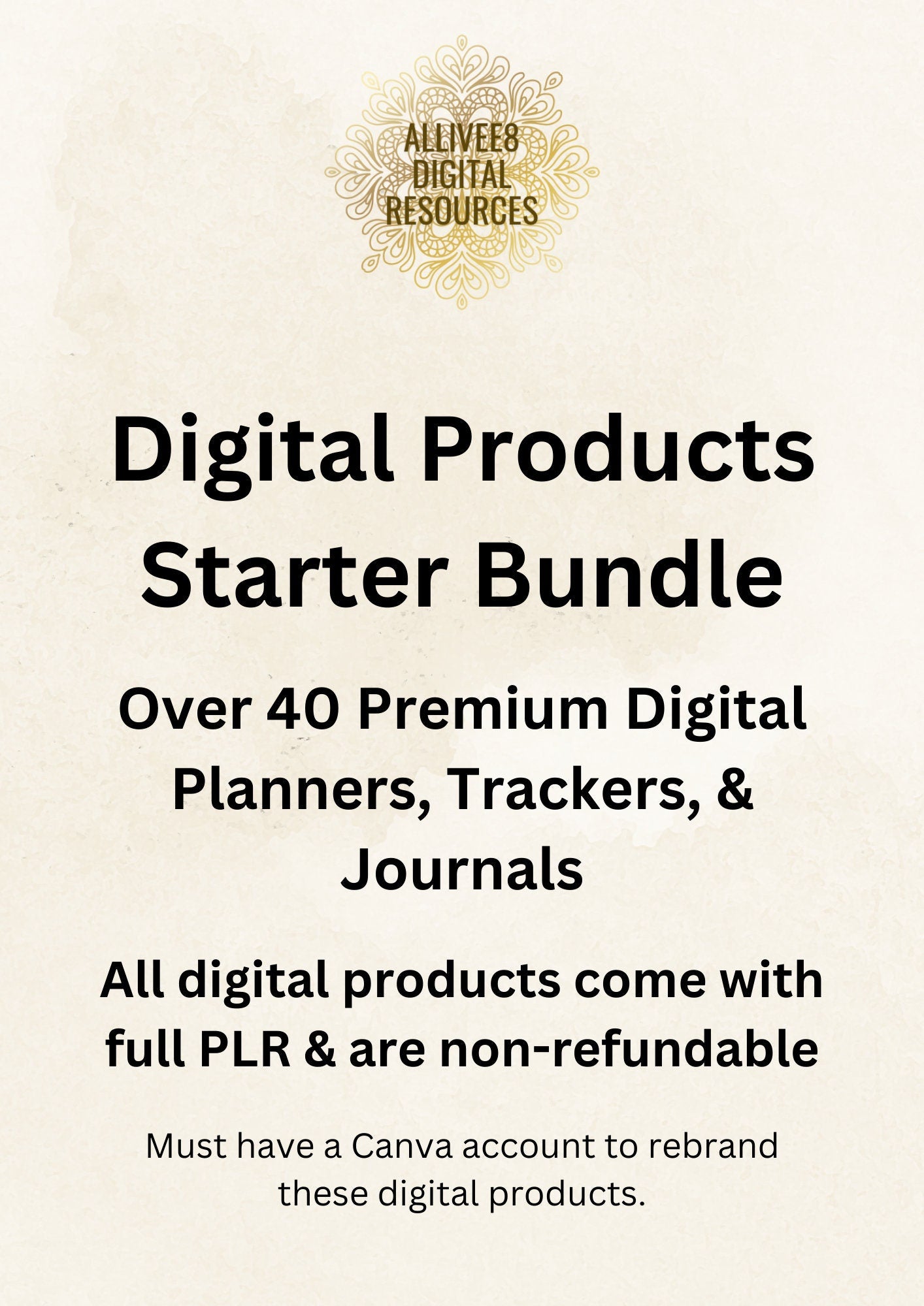 Mini Digital Business Starter Template Bundle